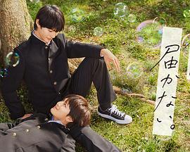 铁岭网站优化多少钱啊